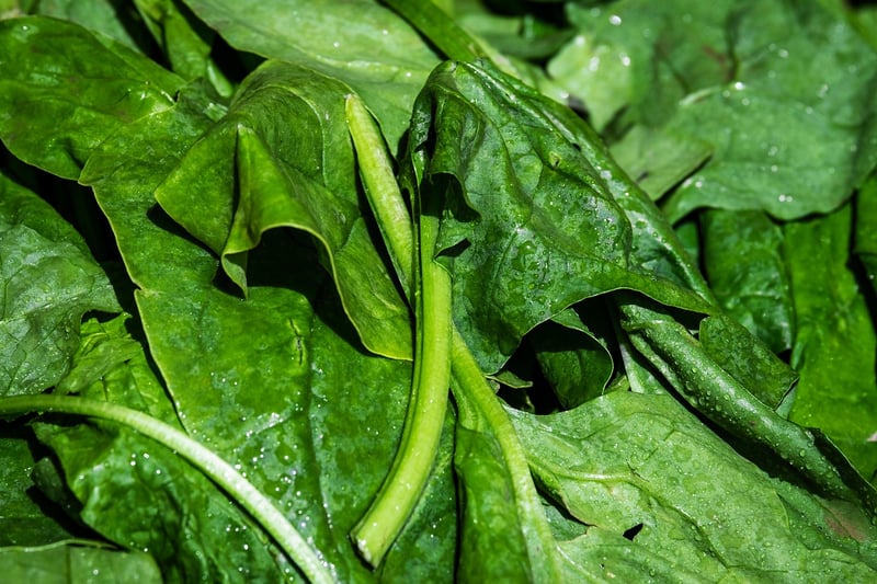 Iron-rich plant-based foods