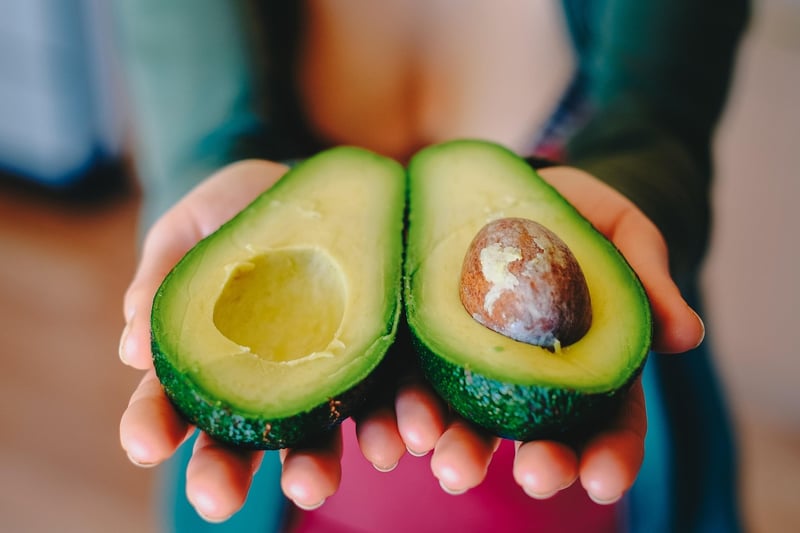 Plant-based protein sources